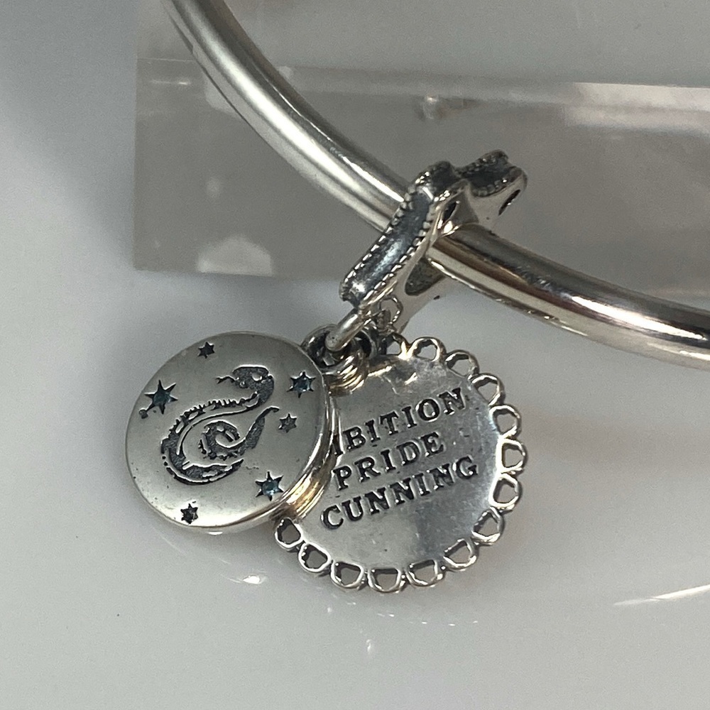 Sterling Silver Harry Potter Slytherin Dangle Charm